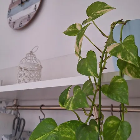 Casa Marevi Casa de hóspedes